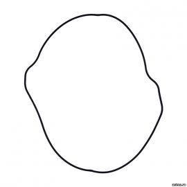 Прокладка крышки сцепления малая HONDA CR125R 87-07 / HONDA