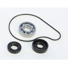 Помпы ремкомплект YAMAHA YZ250F 01-13 WR250F 01-13 / HOT RODS 5NL-12439-00-00 93109-11073-00 93102-12321-00 93306-00105-00