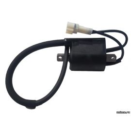 Катушка зажигания YAMAHA WRF450 12-15 / YAMAHA