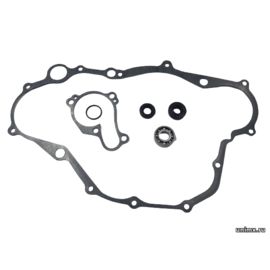 Помпы ремкомплект YAMAHA YZF450 10-13 / ZORO PARTS 33D-15462-00-00 33D-12427-00-00 93109-11073-00 93102-12321-00 93306-00105-00 93210-19758-00