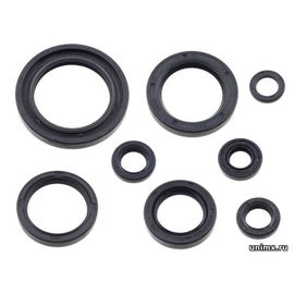 Набор сальников двигателя HONDA CRF250R 18-24 CRF250RX 19-24 / ZORO PARTS 91202-K95-A21 91202-K95-A41 91207-K95-A21 91206-K95-A21 91203-KA4-771 91205-MEB-671 91201-965-000 91201-KF0-003 91207-ML3-871