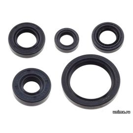 Набор сальников двигателя YAMAHA YZF250 19-24 WRF250 20-24 / ZORO PARTS 93109-14010-00 93102-28012-00 93102-12008-00 93102-12442-00 93102-10008-00