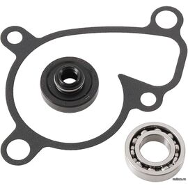 Помпы ремкомплект SUZUKI RM250 03-08 / HOT RODS 17431-37F00 17461-37F00 08113-69010