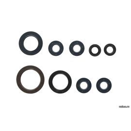 Набор сальников двигателя KTM 250SXF 13-15 250EXC-F 14-16 HQV FC250 14-15 FE250 14-16 / ATHENA 0760304772 0760405560