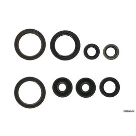 Набор сальников двигателя KTM 450SXF 13-15 450/500EXC 13-16 HQV FC450 14-15 FE450/501 13-16 / ATHENA 0760354774 0760193070