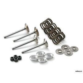 Клапанный набор впуск выпуск KTM 250SXF/EXCF 06-07 / KTM 77036030000 77036031000