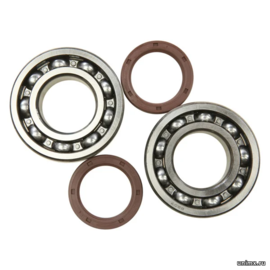 Подшипники коленвала KTM 450SXF 13-15 EXC450/500 12-16 HQV FC450 14-15 FE450/501 13-16 / HOT RODS 00050002310 00050002308 0625062071 0760354774